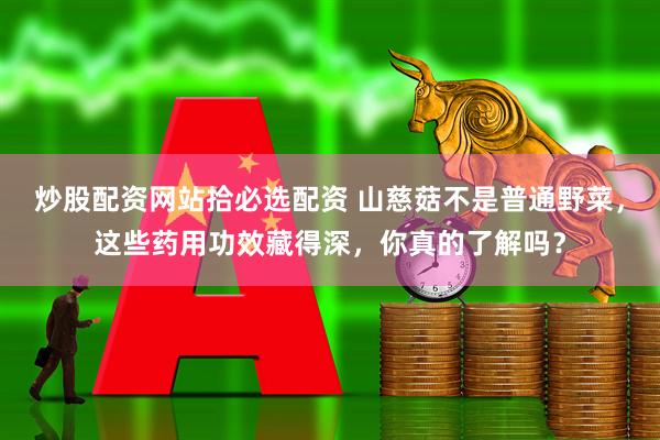 炒股配资网站拾必选配资 山慈菇不是普通野菜，这些药用功效藏得深，你真的了解吗？