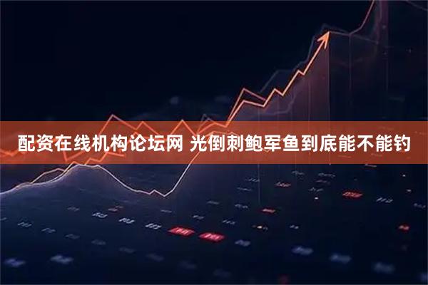 配资在线机构论坛网 光倒刺鲍军鱼到底能不能钓